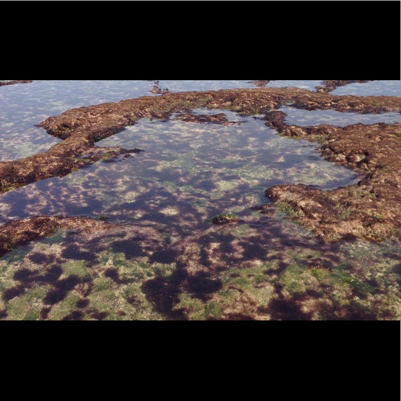 Meet your Posher, Marla - Picture 1 of 3